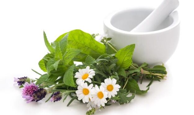 Medicinal herbs - the basis of the external effect on the knee joint affected by arthrosis